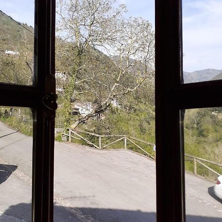 Casa Rural Oso 4 Guest House Pola de Somiedo Exterior photo