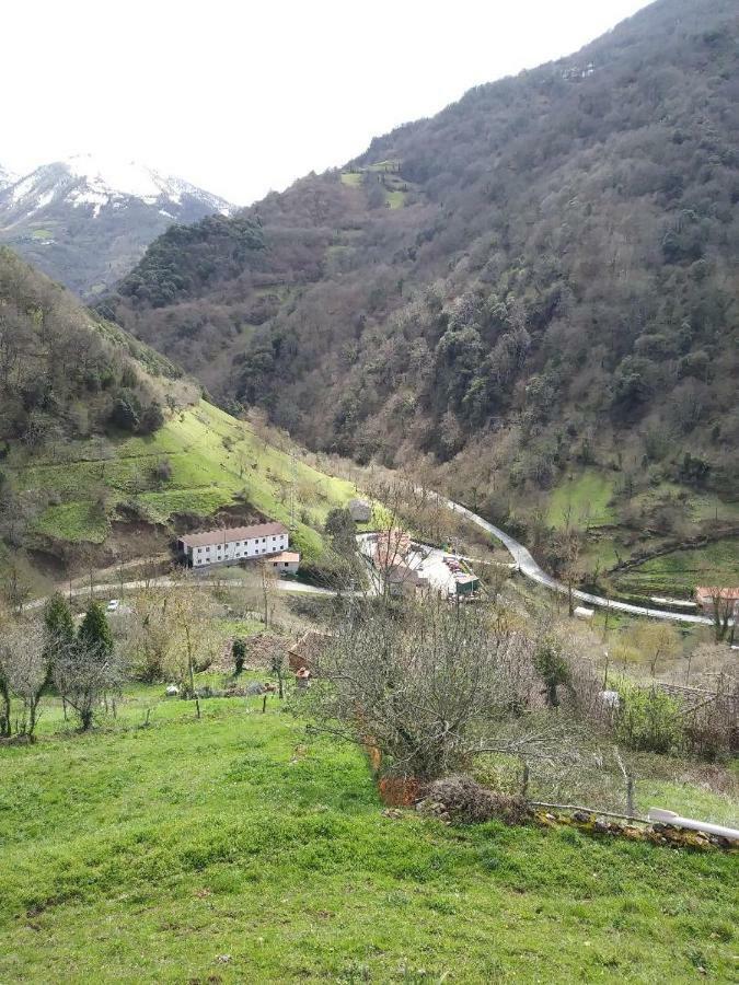 Casa Rural Oso 4 Guest House Pola de Somiedo Exterior photo